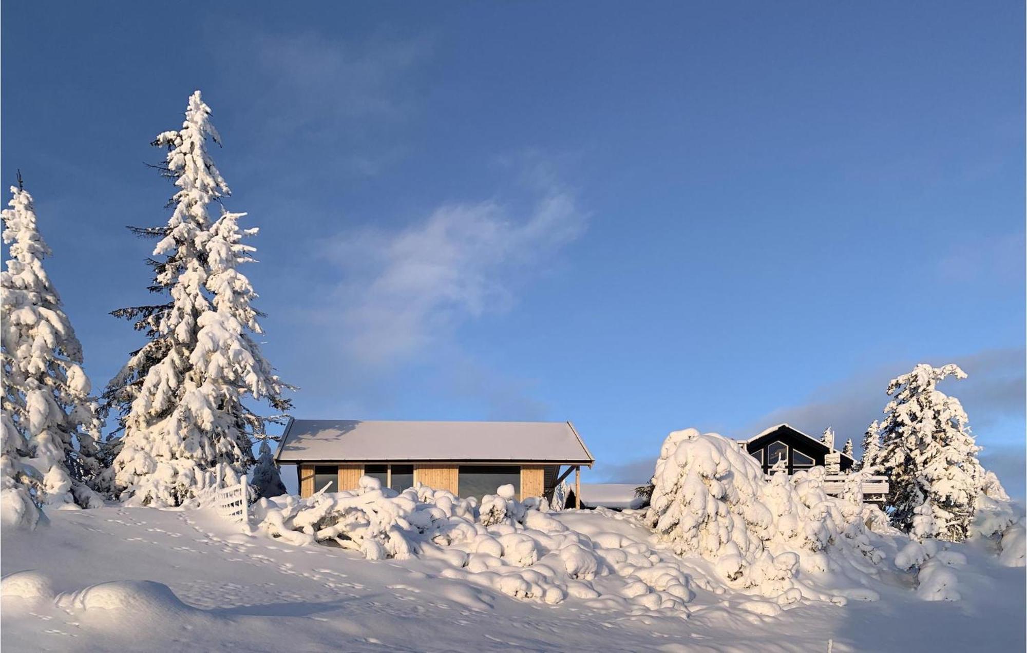 Amazing Home In Sjusjoen With Kitchen Экстерьер фото
